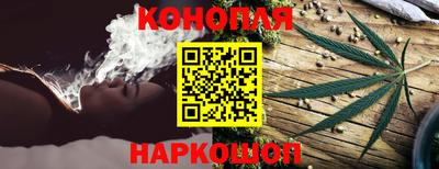 прущие грибы Анжеро-Судженск